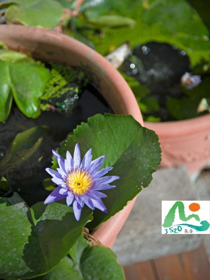 3520 Homestay Taitung Bagian luar foto
