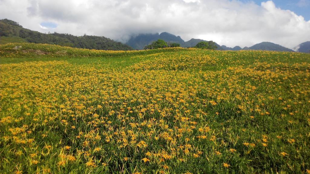 3520 Homestay Taitung Bagian luar foto